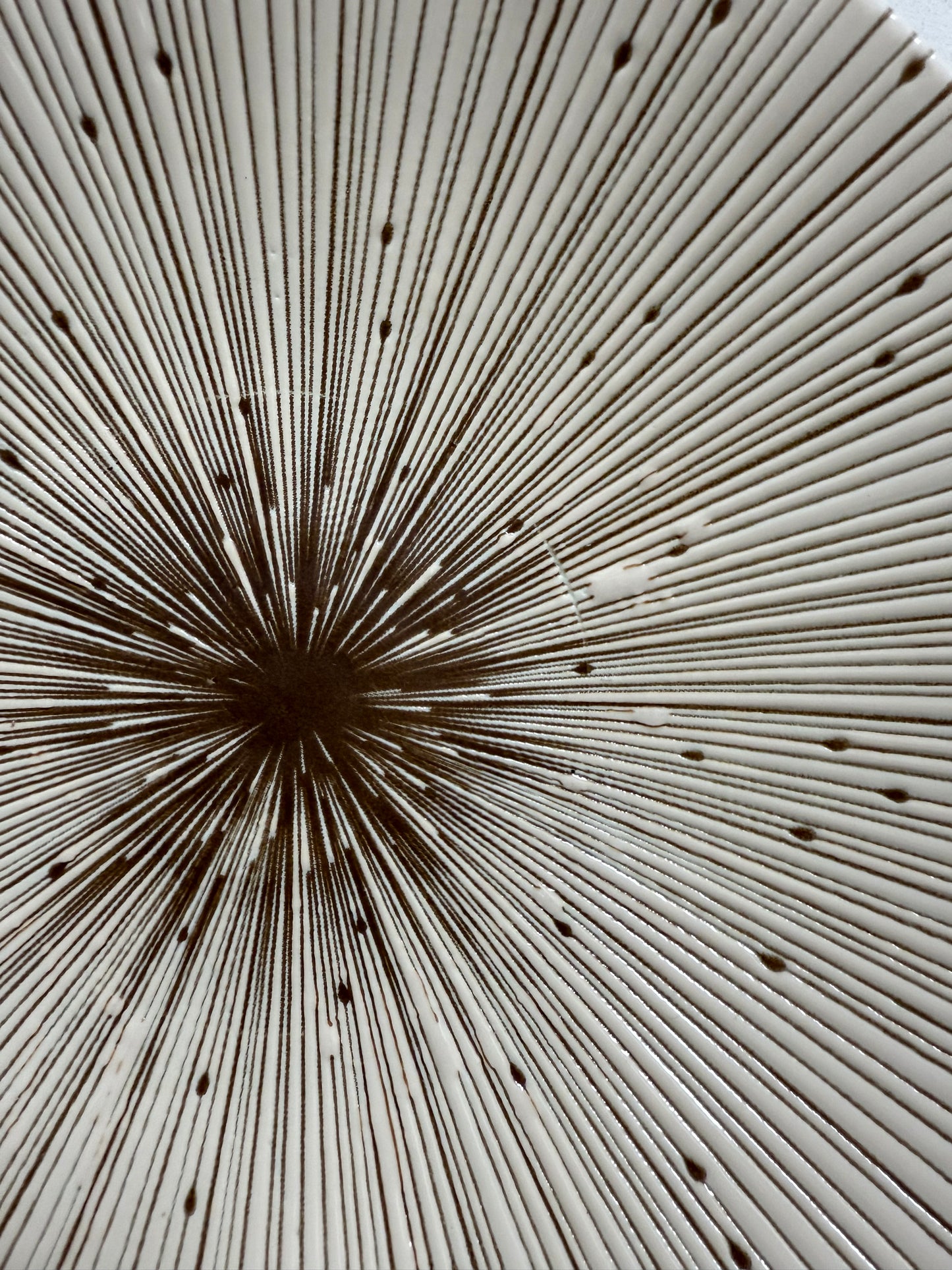 **瑕疵品** 日本製 ❘ 千段十草系列美濃燒餐碟 (22cm)