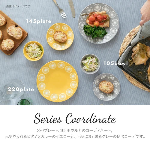 日本製 ❘ Moco系列蒲公英美濃燒餐碟 (14.7cm)
