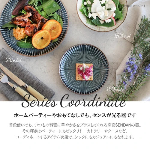 日本製 ❘ Sendan系列美濃燒餐碟 (20.7cm)