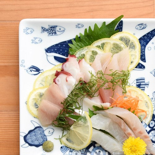 日本製 ❘ Cocomarine系列海洋世界波佐見燒方形餐碟 (17cm)