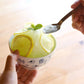 日本製 ❘ Cocomarine系列海洋世界波佐見燒餐碗 (11cm)